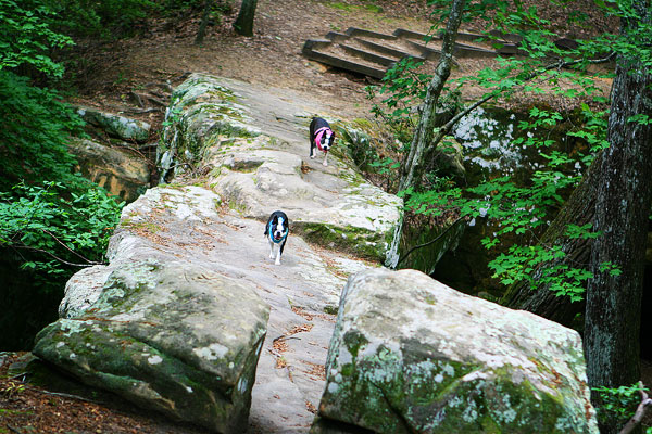 Southern Travel | Tennessee Mountain Hideaway