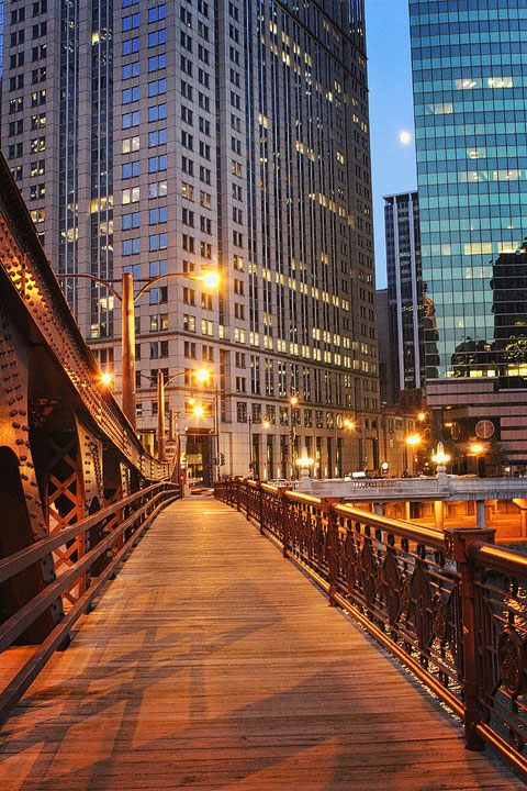 Chicago Skyline 2010