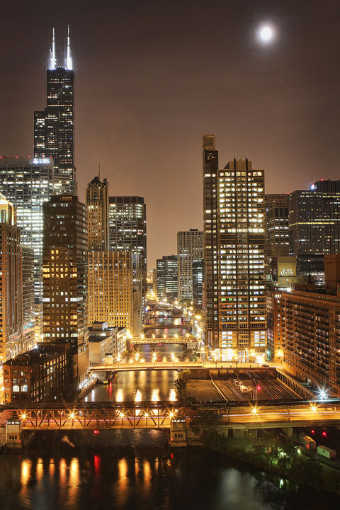 Chicago Skyline 2010