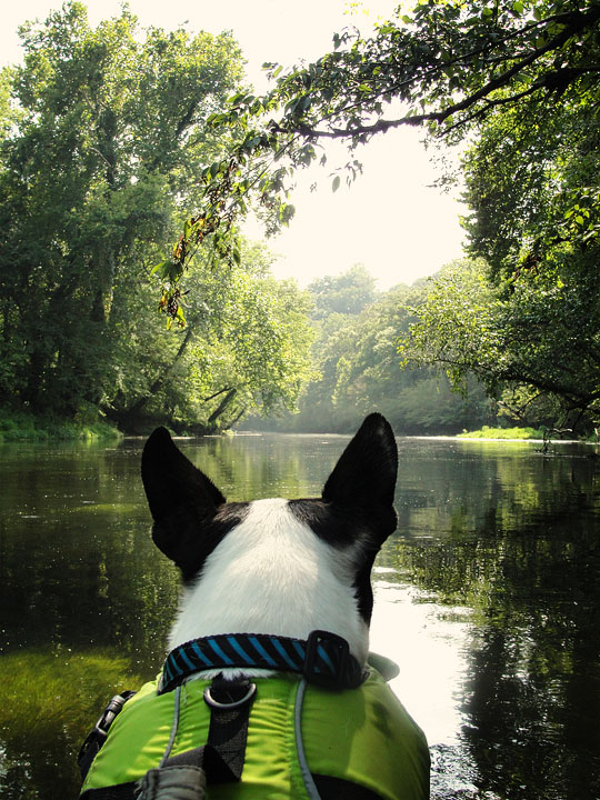 Elk River, Alabama