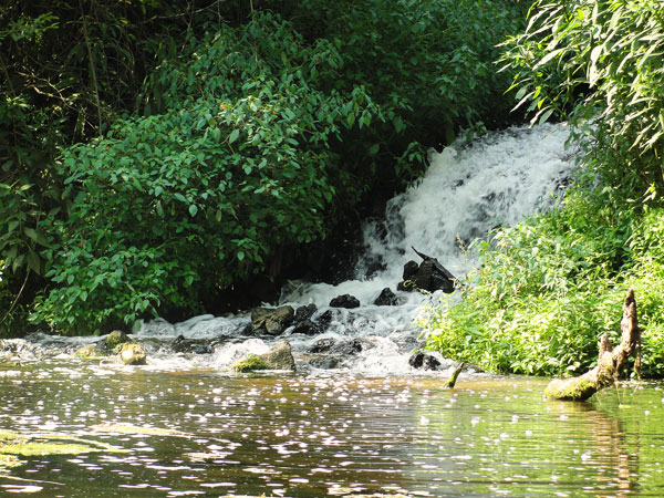 Elk River, Alabama