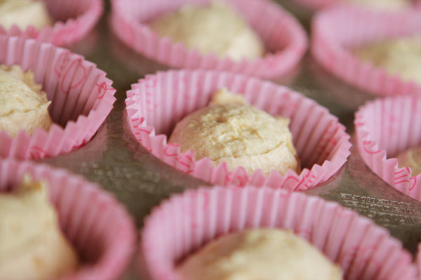 Chocolate Chip Cookie Dough Cupcakes