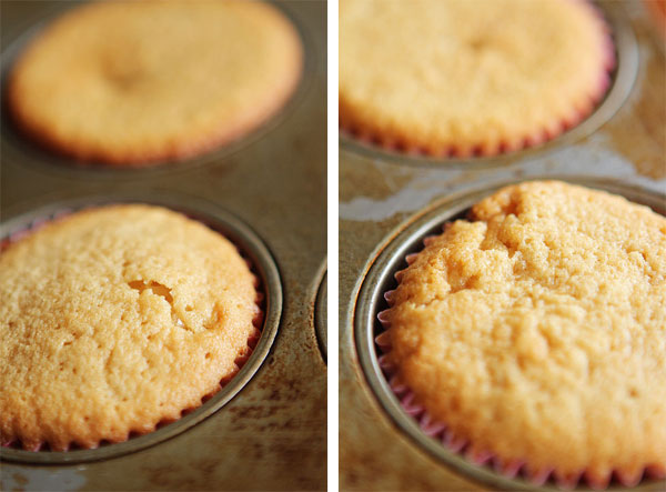 Chocolate Chip Cookie Dough Cupcakes