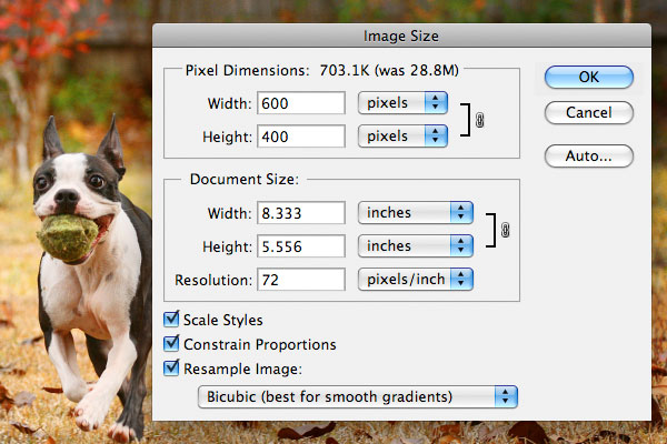 Image of Changing the Size of a Photo in Photoshop