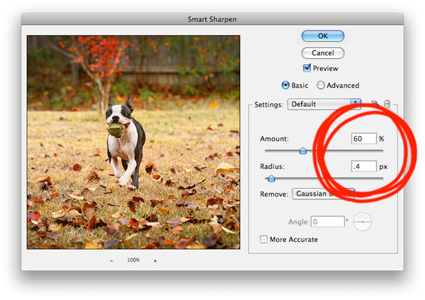 Image of Adjusting a Photo's Sharpness on Photoshop