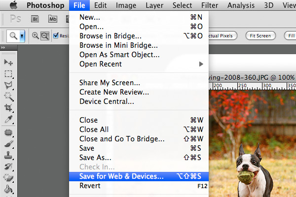 Image of Saving a Photo From Photoshop