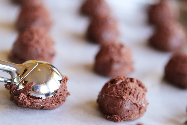 Brownie Batter Chocolate Fudge Cupcakes with Outrageously Rich Chocolate Indulgence Frosting