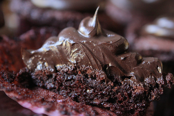 Brownie Batter Chocolate Fudge Cupcakes with Outrageously Rich Chocolate Indulgence Frosting