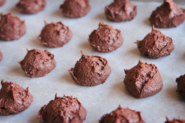 Brownie Batter Chocolate Fudge Cupcakes with Outrageously Rich Chocolate Indulgence Frosting