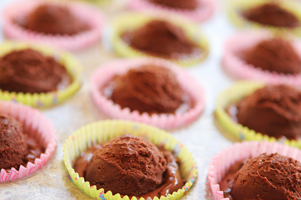Brownie Batter Chocolate Fudge Cupcakes with Outrageously Rich Chocolate Indulgence Frosting