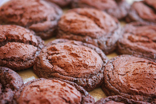 Brownie Batter Chocolate Fudge Cupcakes with Outrageously Rich Chocolate Indulgence Frosting