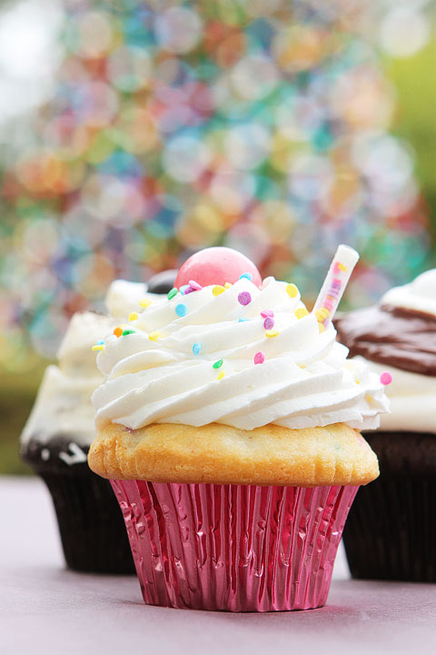 Cupcake Photo with Bokeh