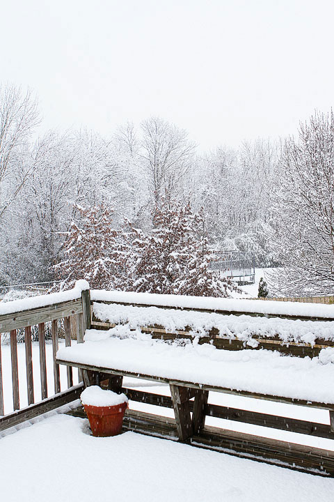 White Christmas in Alabama 2010