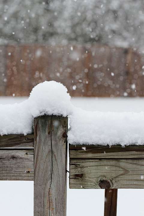 White Christmas in Alabama 2010