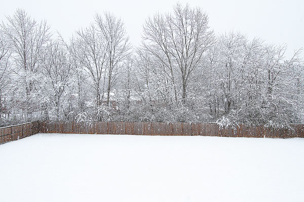 White Christmas in Alabama 2010