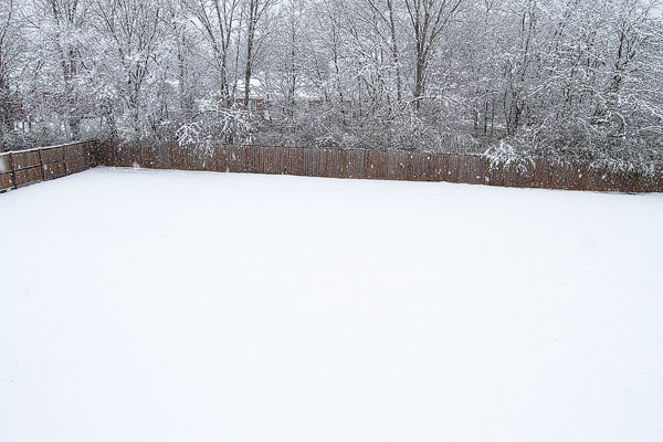 White Christmas in Alabama 2010