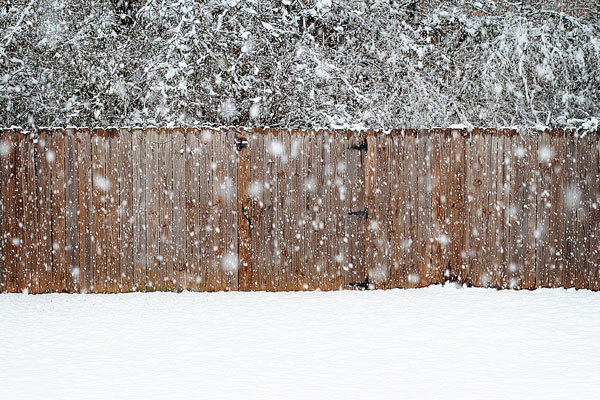 White Christmas in Alabama 2010