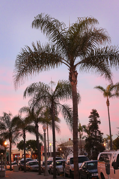 Sunset on Coronado Island, San Diego, California