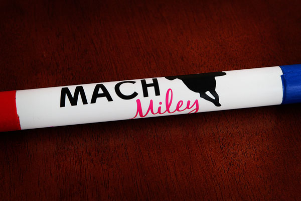 Image of Miley's MACH Bar