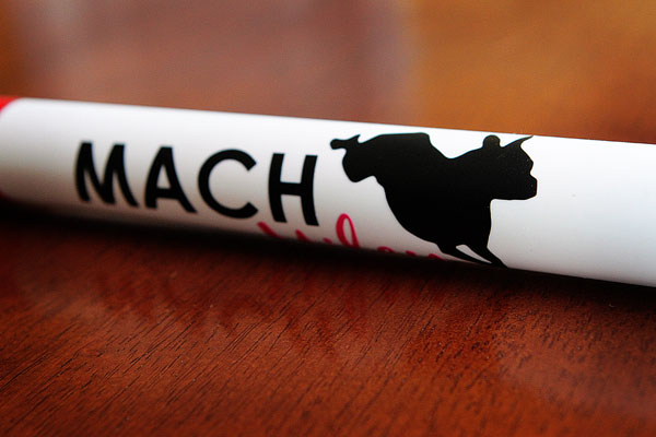 Image of a Boston Terrier Agility MACH Bar