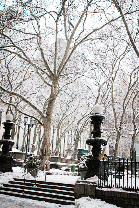 Snow in the City, NYC