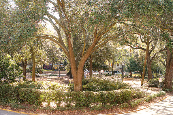 Foley House Inn Bed & Breakfast, Savannah, Georgia