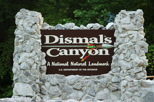 Dismals Canyon in Alabama ~ Glow Worm Caves