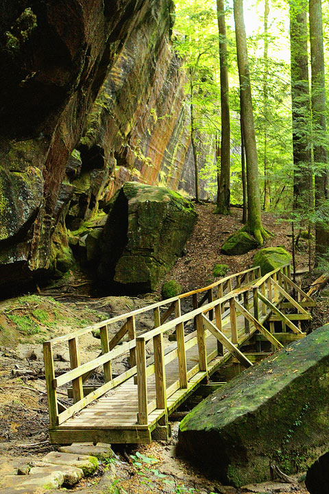 Dismals Canyon in Alabama ~ Glow Worm Caves