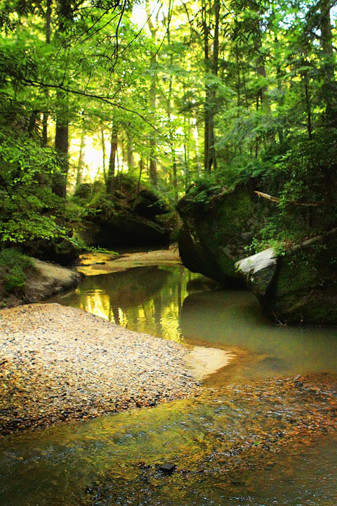 Dismals Canyon in Alabama ~ Glow Worm Caves