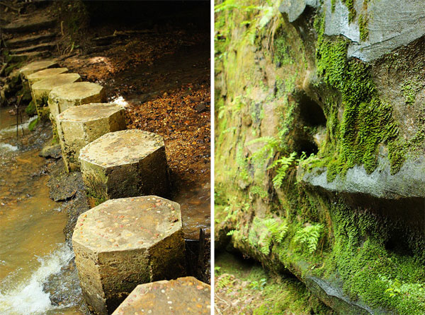 Dismals Canyon in Alabama ~ Glow Worm Caves