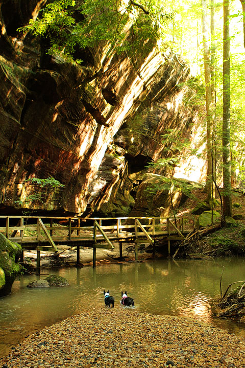 Dismals Canyon in Alabama ~ Glow Worm Caves