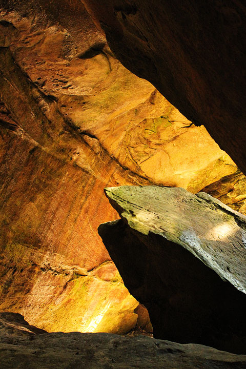 Dismals Canyon in Alabama ~ Glow Worm Caves