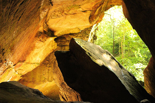 Dismals Canyon in Alabama ~ Glow Worm Caves