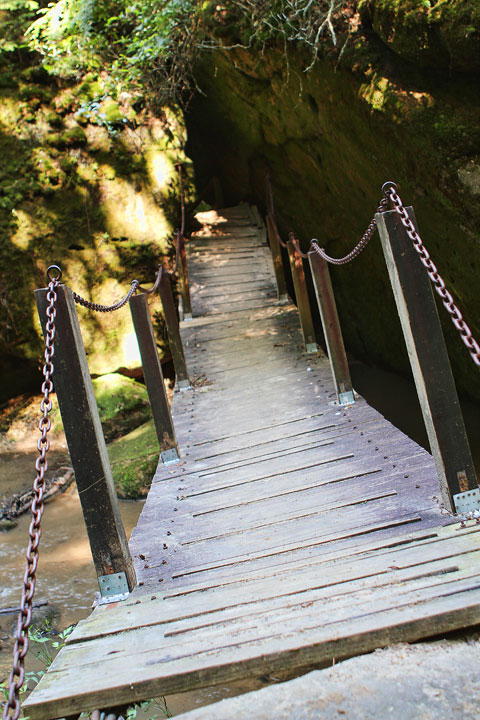 Dismals Canyon in Alabama ~ Glow Worm Caves