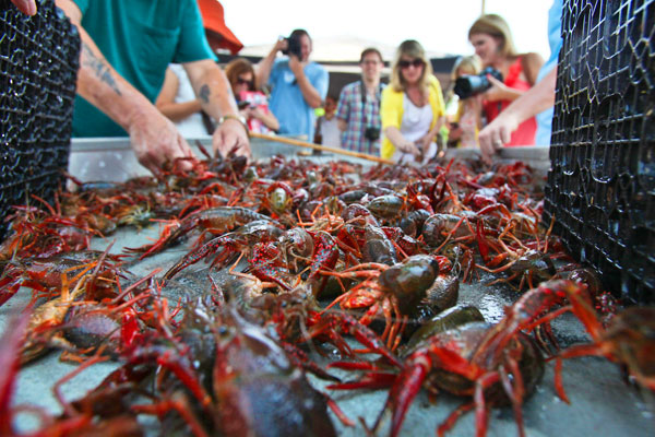 KERRY MALONEY / LOUISIANA SEAFOOD NEWS