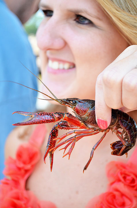 19-crab-and-crawfish-maggy-544