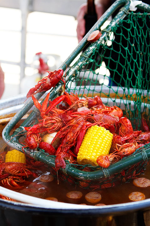 21-crab-and-crawfish-marla-meridith-282