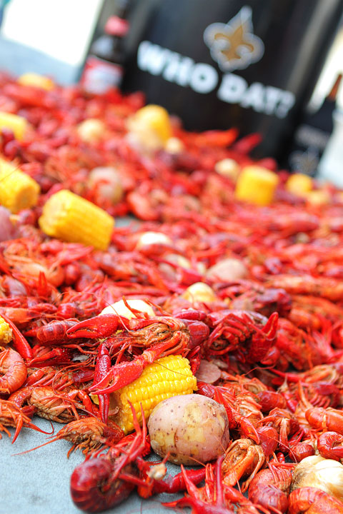 23-crab-and-crawfish-Amanda-987