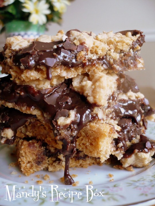 Fudge Revel Bars