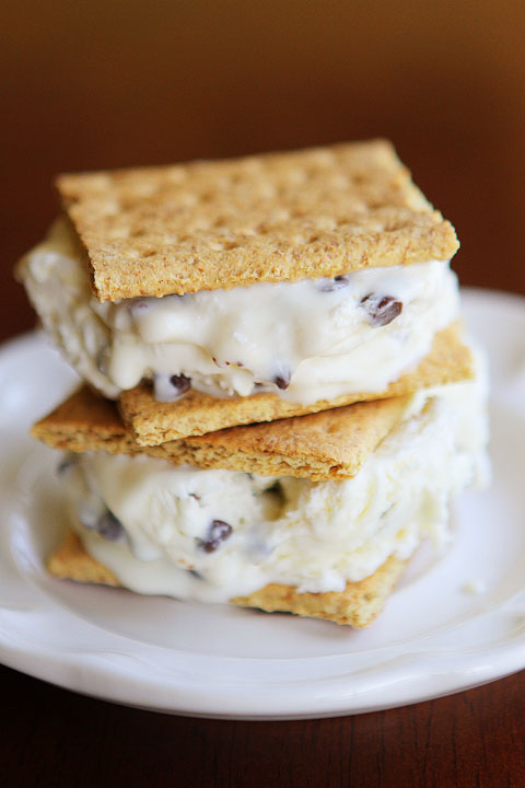 kevinandamanda-smores-ice-cream-6