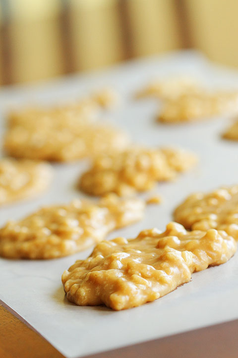 peanut-butter-rice-krispy-pralines-2