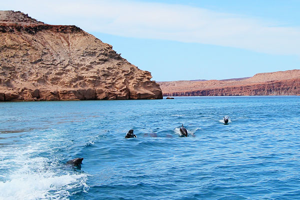 Isla Espiritu Santo