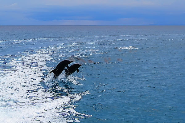 Isla Espiritu Santo