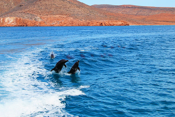 Isla Espiritu Santo