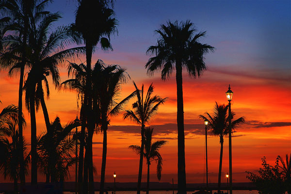 Sunset on the Malecón | La Paz, Mexico