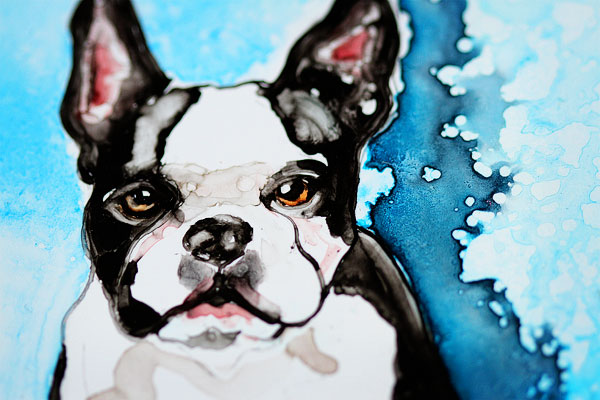 Watercolor Pet Portraits by Rachael Rossman