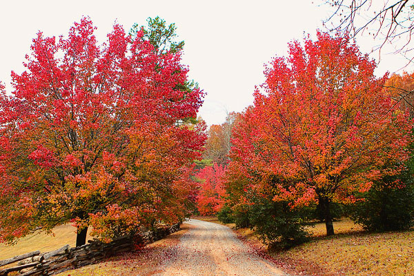 Blue Ridge, Georgia Fall Weekend Getaway. Hiking, Cabins & Waterfalls.