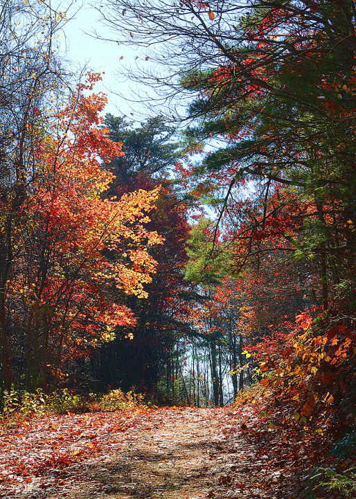 Blue Ridge, Georgia Fall Weekend Getaway. Hiking, Cabins & Waterfalls.