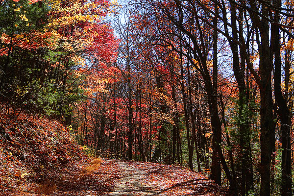 Blue Ridge, Georgia Fall Weekend Getaway. Hiking, Cabins & Waterfalls.