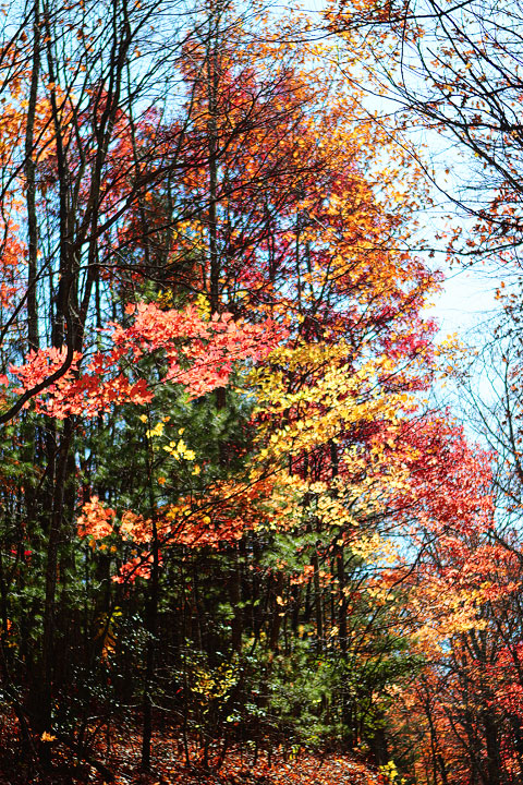 Blue Ridge, Georgia Fall Weekend Getaway. Hiking, Cabins & Waterfalls.